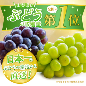 甲州自然の恵み！種無し巨峰1.2kg以上 2～3房【2024年発送】（LKS）B-851【葡萄 ブドウ ぶどう 期間限定】