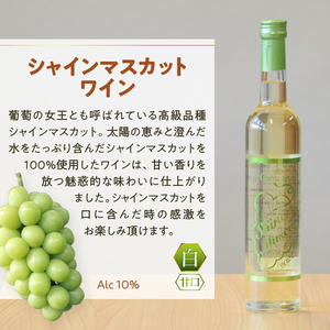 Premiumワインギフト（白）500ml×2本『シャインマスカットワイン＋デラウェアワイン』～2022～（HO）B16-775