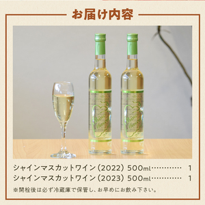 Premiumワインギフト（白）飲み比べ500ml×2本『シャインマスカットワイン2022・2023』（HO）C3-775