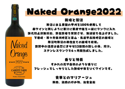 『農福連携』ケアフィットファームが贈るオレンジワインと赤ワイン2本セット(MG)C-687