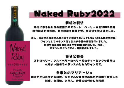 『農福連携』ケアフィットファームが贈るオレンジワインと赤ワイン2本セット(MG)C-687