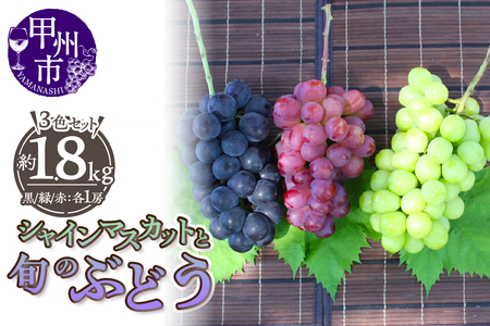 厳選！山梨県甲州市産 シャインマスカットを含む3色セット 約1.8kg【2026年発送】（THR）C-811 シャインマスカット 黒ぶどう 赤ぶどう フルーツ