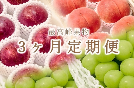【定期便】甲州市自慢の大人気3種セット “大玉桃”“大玉貴陽”“大粒シャインマスカット”3ヶ月定期便 自然農法【2026年発送】（BNC）I8-101 桃 すもも シャインマスカット フルーツ