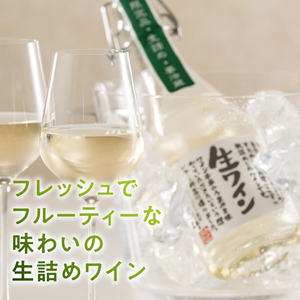 ワイン 生ワイン 白 500ml(MTS)A09-638