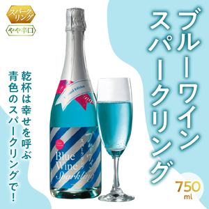 ブルーワイン スパークリング 750ml（MTS）B-635