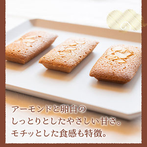 和菓子職人のフィナンシェ(financier)10個 皇室献上菓匠 三省堂 ギフト箱入り焼菓子（VYD）A09-930