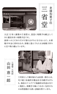 三省堂 高級蒸羊羹3種セット詰め合わせ(約400g×3)山梨の皇室献上菓匠が仕上げた贅沢ようかん 本格無添加和菓子 ギフト 手土産にもおすすめ（VYD）C-931