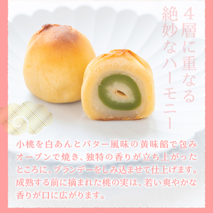 ありそうでなかった 桃の実の桃山『桃ゆめ』10個 化粧箱入 皇室献上菓匠三省堂 和菓子（VYD）B11-930