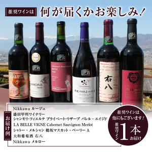 ワイン 勝沼ぶどうの丘推奨 赤ワイン（フルボディ）1本（KBO）B16-601