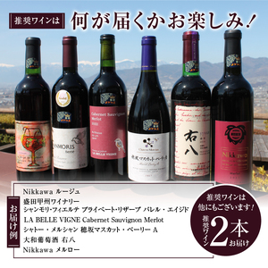 ワイン 勝沼ぶどうの丘推奨 赤ワイン（フルボディ）2本セット（KBO）C8-610