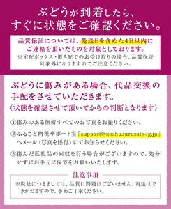 【定期便】甲州市産厳選旬のフルーツ定期便全2回（巨峰・シャインマスカット）【2025年発送】（MG）B19-481 【巨峰 シャインマスカット 葡萄 ぶどう ブドウ 令和7年発送 期間限定 山梨県産 甲州市 フルーツ 果物】