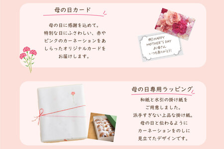 【母の日】『ありがとうどら焼き』10個入 本格和菓子（VYD）B-932