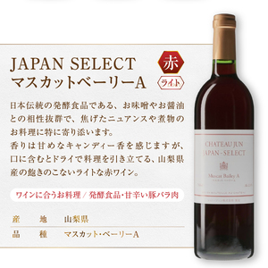 ワイン シャトージュン【JAPAN SELECT】3本セット（MG）B19-653