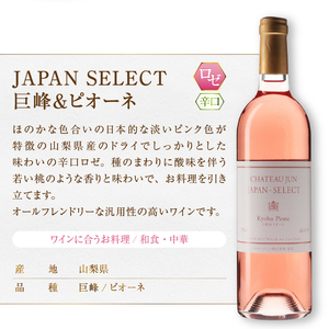 ワイン シャトージュン【JAPAN SELECT】3本セット（MG）B19-653