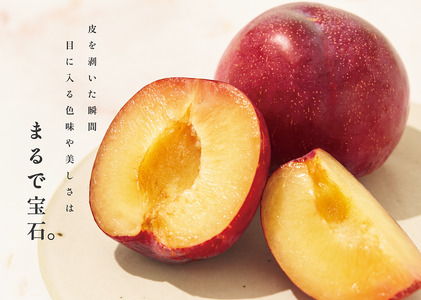 甲州市産 大玉貴陽 8個入り 約1.6kg 自然農法【2026年発送】（BNC）C4-488 すもも フルーツ