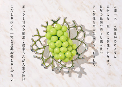 甲州市産 たっぷり粒詰めシャインマスカット 約500g 自然農法 【2025年発送】（BNC）B-489 シャインマスカット フルーツ