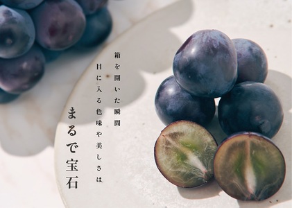 甲州市産 種無し大粒巨峰 2房入り 約1kg 自然農法【2026年発送】（BNC）C5-451 巨峰 フルーツ