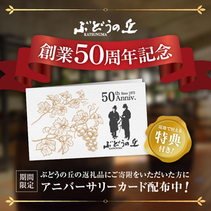 ワイン 【ノンアルコールワイン】カツヌマグレープ赤白セット B-715 (KBO)