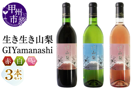 生き生き山梨[GIYamanashi]3本セット（MG）B17-651 10,656円