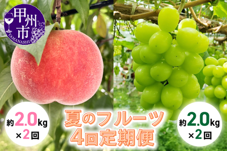 【定期便】夏のフルーツ 4回 定期便【2026年発送】（KSB）H9-130 【桃 もも モモ シャインマスカット 葡萄 ぶどう ブドウ 令和8年発送 期間限定 山梨県産 甲州市 フルーツ 果物