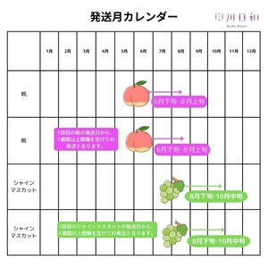 【定期便】夏のフルーツ 4回 定期便【2026年発送】（KSB）H9-130 【桃 もも モモ シャインマスカット 葡萄 ぶどう ブドウ 令和8年発送 期間限定 山梨県産 甲州市 フルーツ 果物