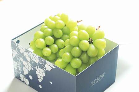 甲州市産 シャインマスカット 約1.1kg 2~3房【2026年発送】(VYD)A09-885 シャインマスカット フルーツ