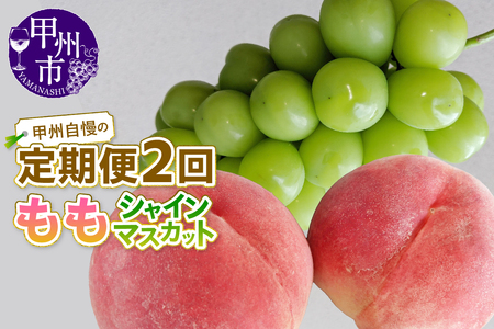 【定期便】甲州自慢の桃＋シャインマスカット定期便【2026年発送】（NK）C-421 桃 シャインマスカット フルーツ