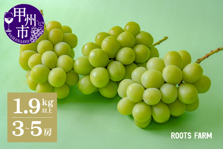 【数量限定】高品質なROOTS FARMシャインマスカット 1.9kg以上 3～5房入【2026年発送】（RO）C1-135 シャインマスカット フルーツ