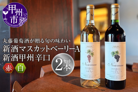 ワイン 丸藤葡萄酒が贈る旬の味わい『新酒マスカットベーリーA』『新酒甲州辛口』新酒ワイン2本セット（MF）B17-790