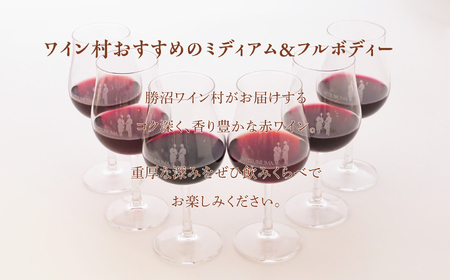 ワイン 勝沼ワイン村 ミディアムフルボディー6本セット（KWV）I7-620