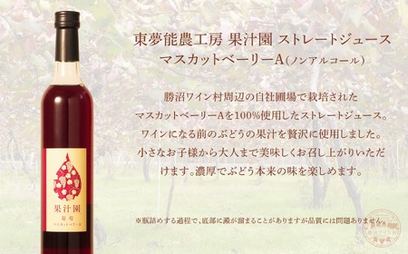 マスカットべーリーA ストレートジュース6本セット（KWV）E2-621