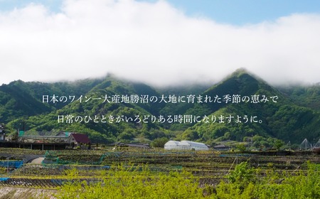 甲州＆マスカットベーリーA ストレートジュース6本セット（KWV）E2-622