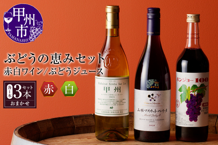 ワイン ぶどうの恵みセット　赤白ワイン（各１本）とぶどうジュース１本セット（KBO）C-653