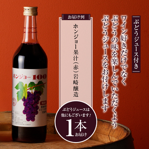 ワイン ぶどうの恵みセット　赤白ワイン（各１本）とぶどうジュース１本セット（KBO）C-653
