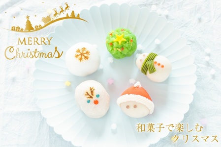 クリスマス 和菓子【聖夜の上生菓子】10個入り 練り切り 菓子 スイーツ 生菓子 ギフト あんこ お歳暮 お取り寄せ 高級 上生菓子 和スイーツ かわいい サンタ トナカイ 雪だるま（VYD）B-940