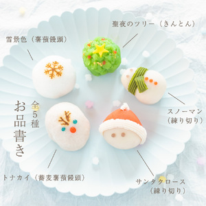 クリスマス 和菓子【聖夜の上生菓子】10個入り 練り切り 菓子 スイーツ 生菓子 ギフト あんこ お歳暮 お取り寄せ 高級 上生菓子 和スイーツ かわいい サンタ トナカイ 雪だるま（VYD）B-940