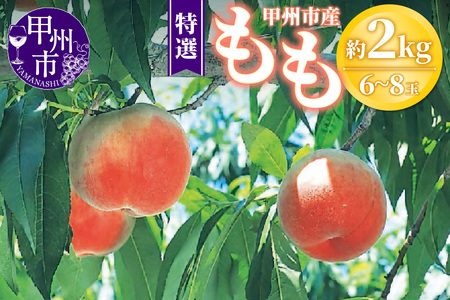 甲州市産 桃 約2kg 6～8玉（特選）【2026年発送】（OGN）B15-1801 桃 フルーツ