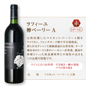 ワイン エムズギフトが贈る『まるき葡萄酒おススメ6本セット』（MG）E-622