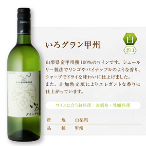 ワイン エムズギフトが贈る『まるき葡萄酒おススメ6本セット』（MG）E-622