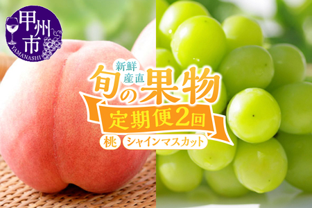【定期便】新鮮産直！甲州市・桃とシャインマスカット2回定期便【2026年発送】（KSF）B16-126 桃 シャインマスカット フルーツ