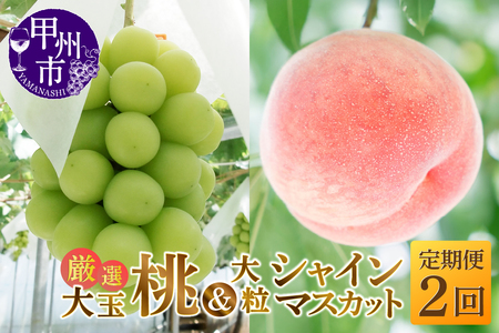 【定期便】大人気！甲州市産厳選旬の大玉桃・大粒シャインマスカット全2回定期便【2026年発送】（MG）C1-482 桃 シャインマスカット フルーツ