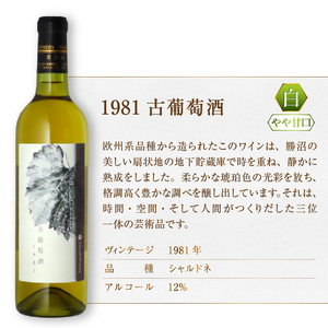 ワイン 『希少！40年超熟成ワイン』1981古葡萄酒【白】まるき葡萄酒（MG）G07-660