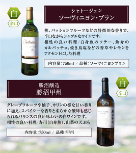 ワイン 白ワイン4品種飲み比べセット（KBO）E7-601