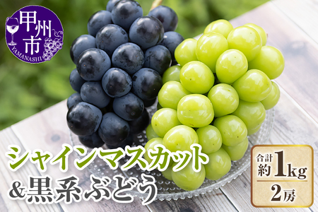 【クール配送】シャインマスカット＆黒系ぶどう 各1房（2房合計約1kg）【2026年発送】（KFT）B11-1810 シャインマスカット フルーツ