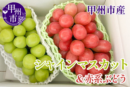 【クール配送】シャインマスカット＆赤系ぶどう 各1房（2房合計約1kg）【2026年発送】（KFT）B12-1810 シャインマスカット 赤系ぶどう フルーツ