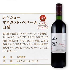 ワイン 岩崎醸造 赤白ロゼ3本セット(MG)B19-488