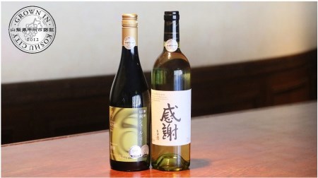 B2-612.原産地呼称ワイン2本セット
