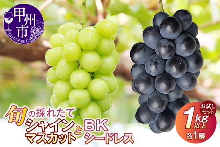 【クール配送】お試しセット！旬の採れたてシャインマスカット＆BKシードレス 1kg以上（各1房）【2026年発送】（HO）B-1411 シャインマスカット BKシードレス フルーツ
