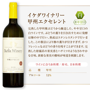 ワイン イケダワイナリー 甲州エクセレント（MG）A07-480