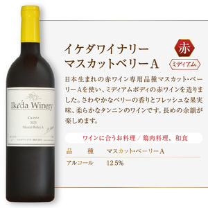 ワイン イケダワイナリー マスカットベリーA（MG）A06-482